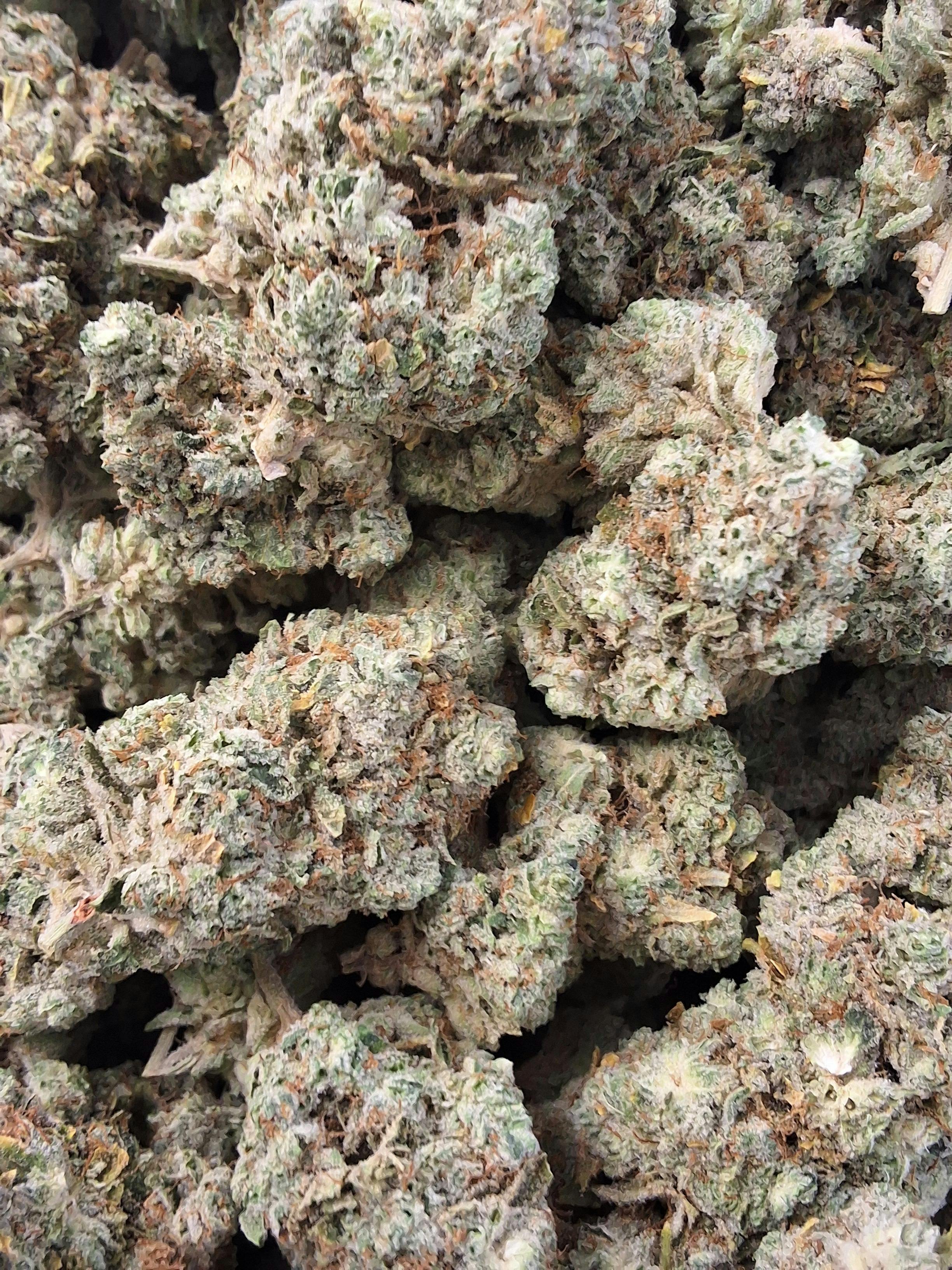 GG4