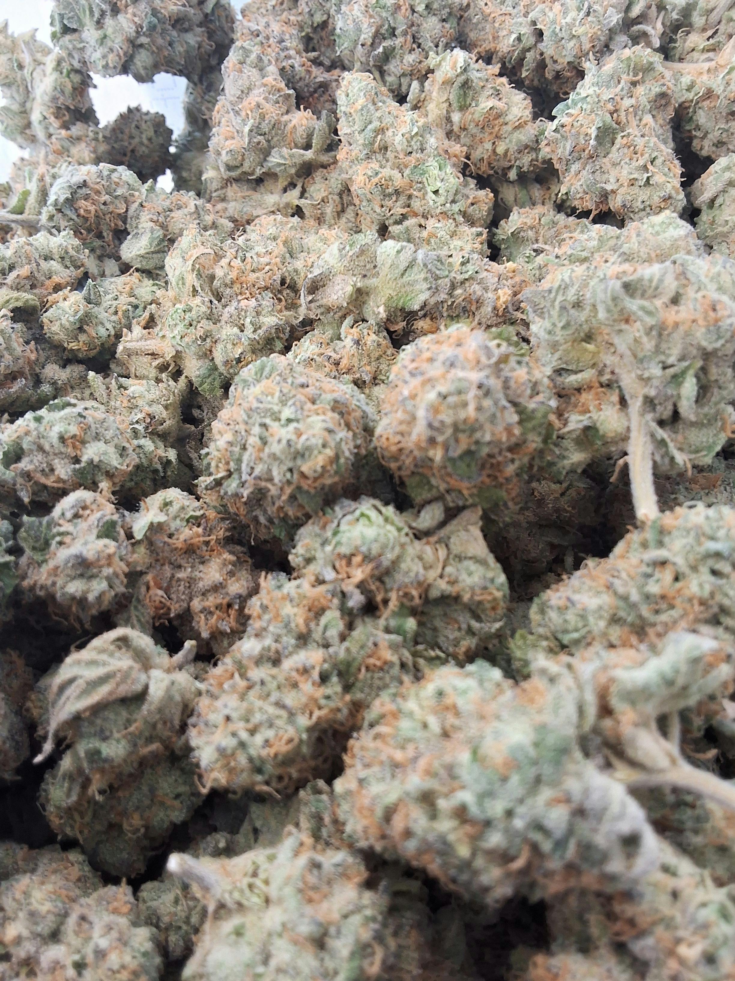 Mule Fuel