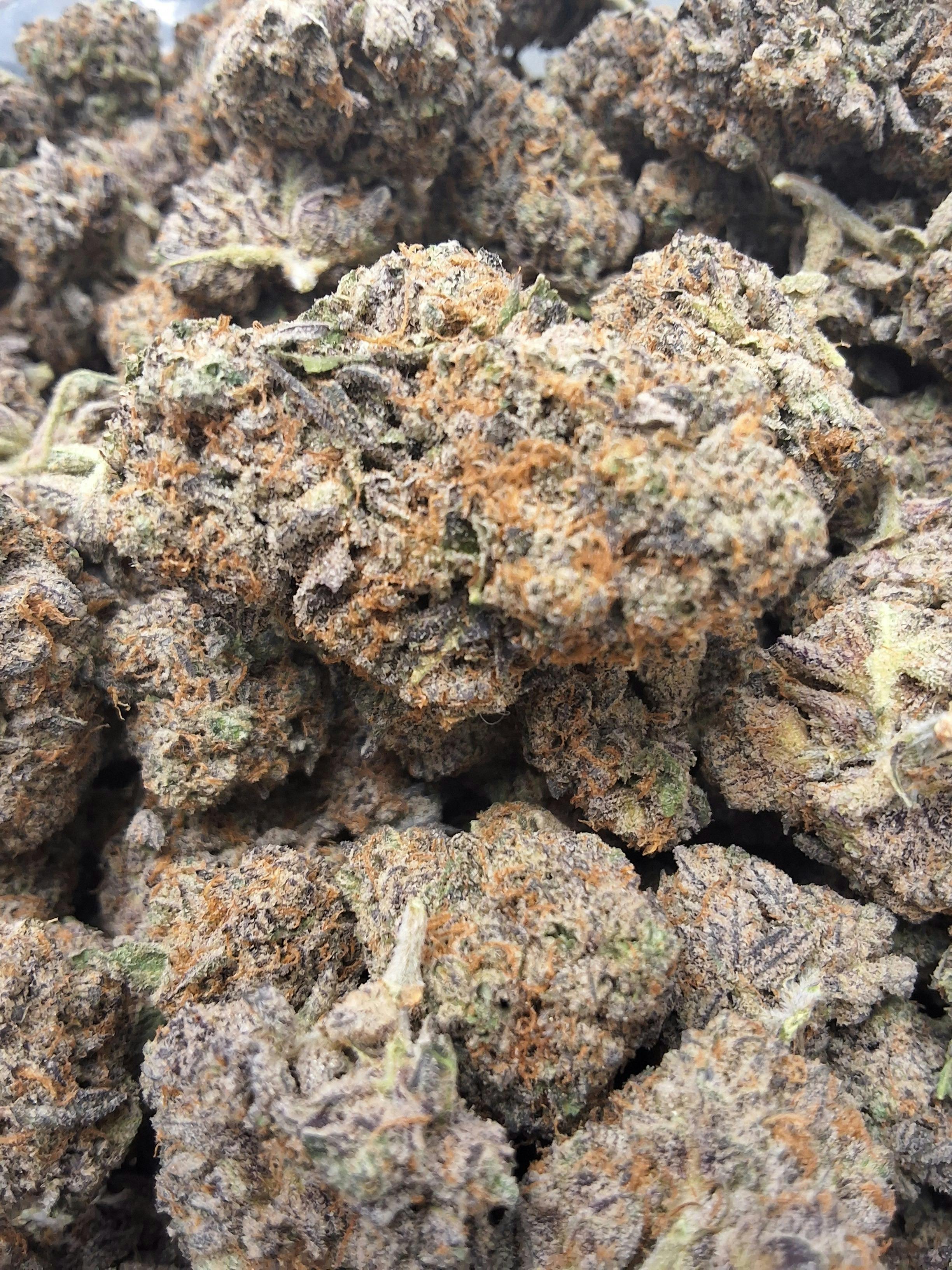 Chem Dawg