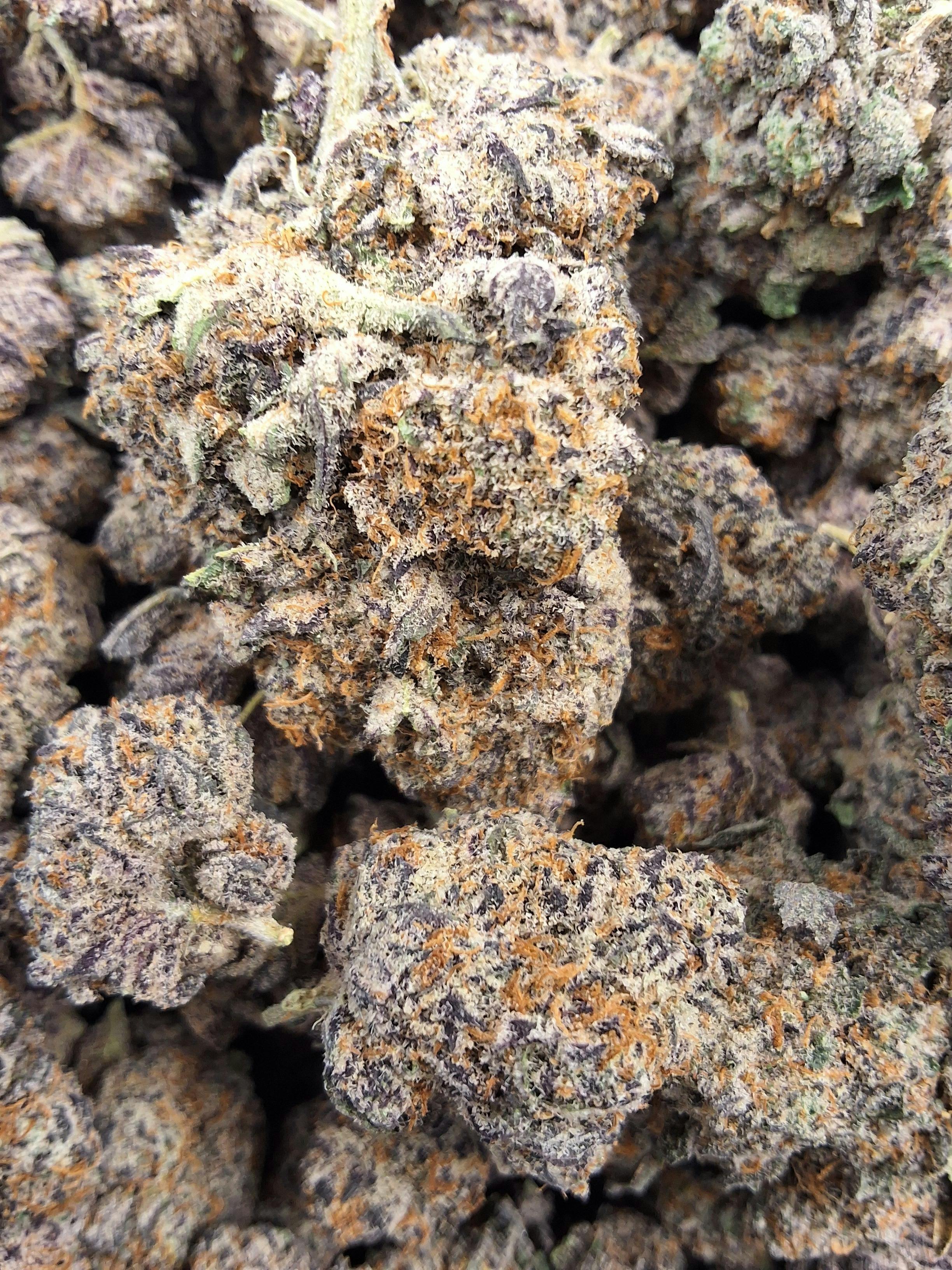 Pave Runtz X Blueberry Sugars