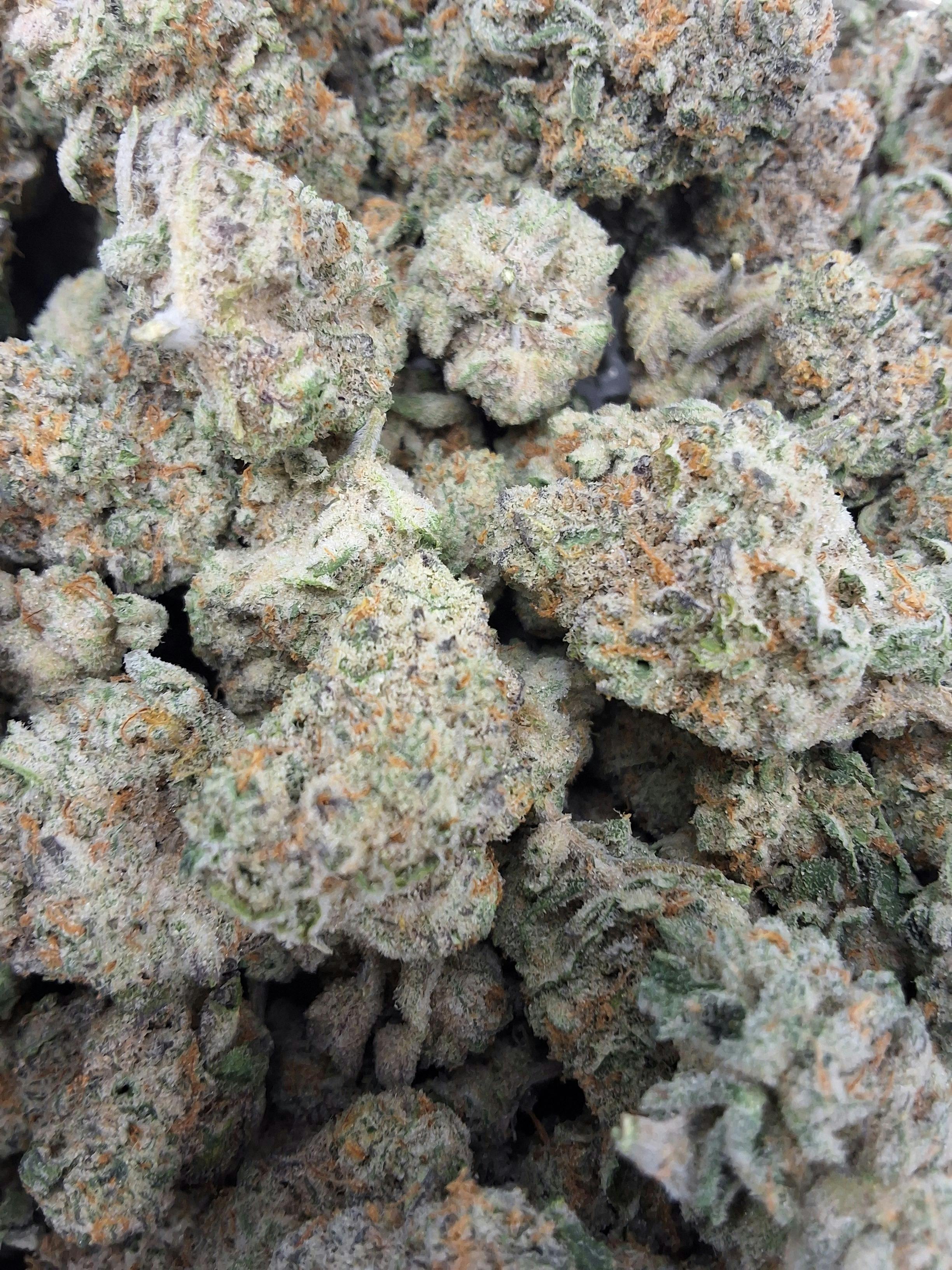 Cap Junky