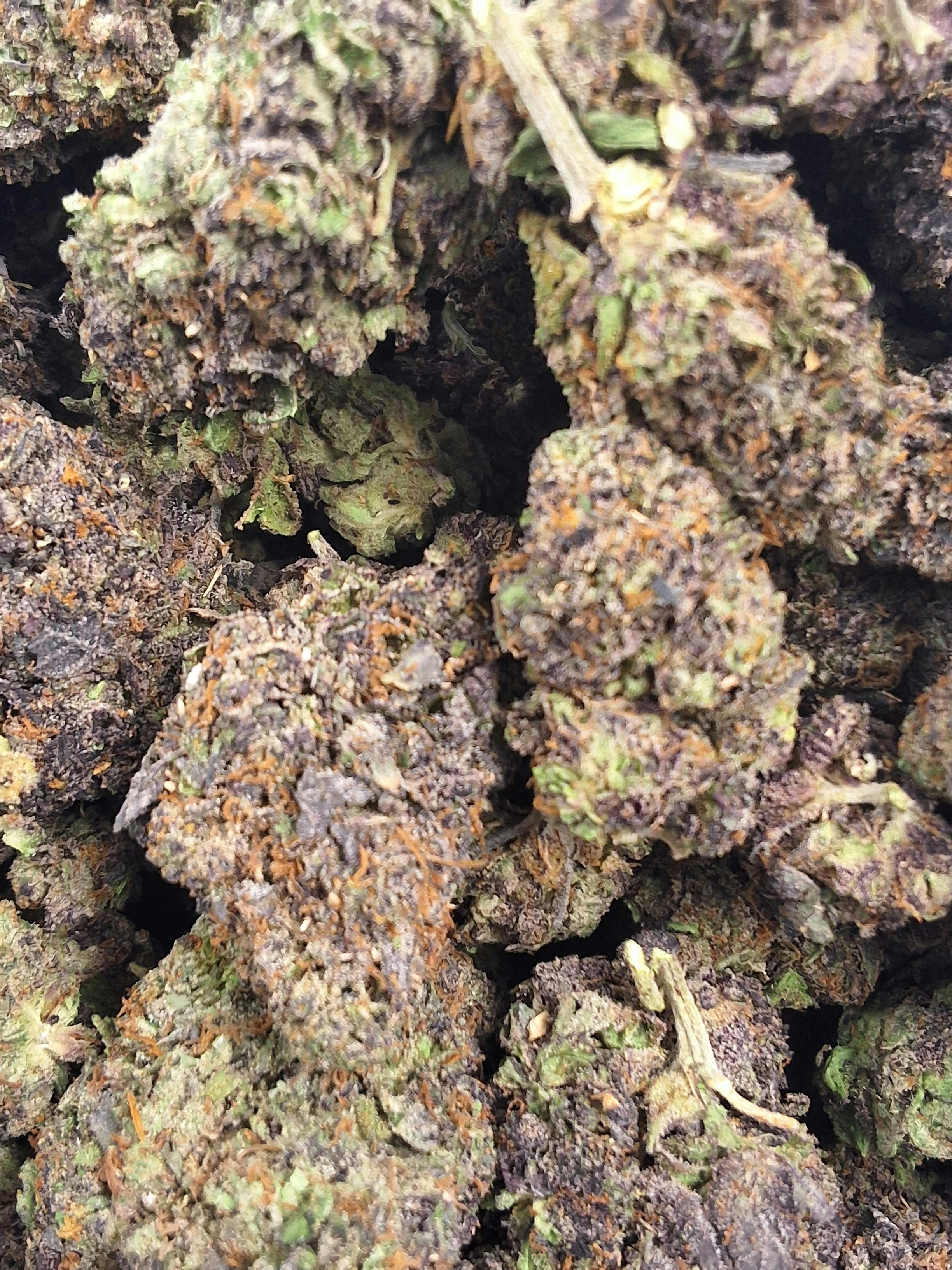 Black maple