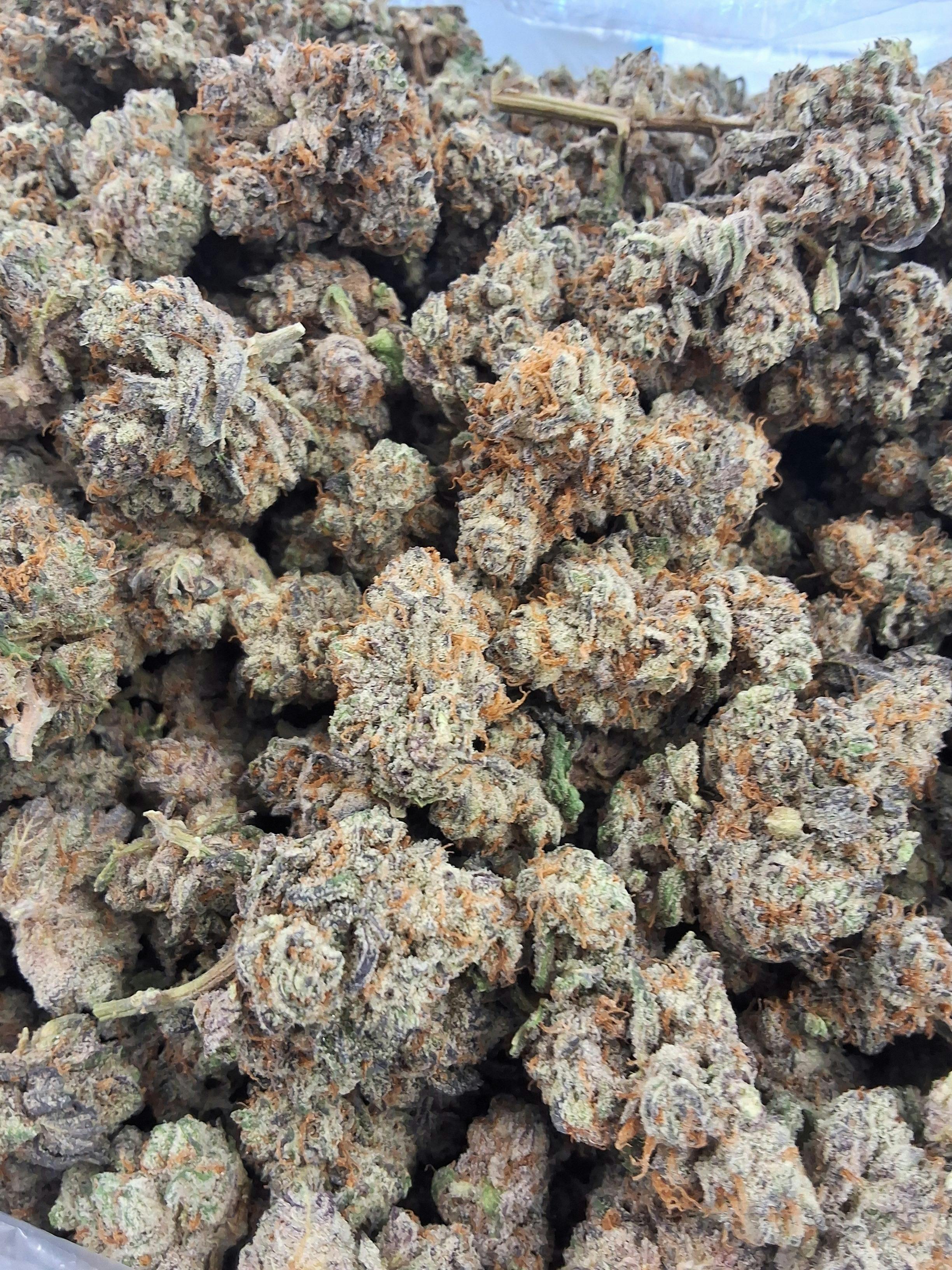 Gorilla Breath
