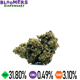 SMALLS GYATT ZAMN | 14G HALF