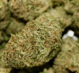Cherry Punch