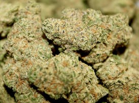 Coco Pebbles x Grande