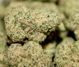 Jungle Pie