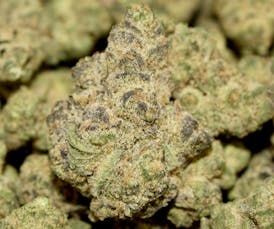 Toasted Strudel (H)