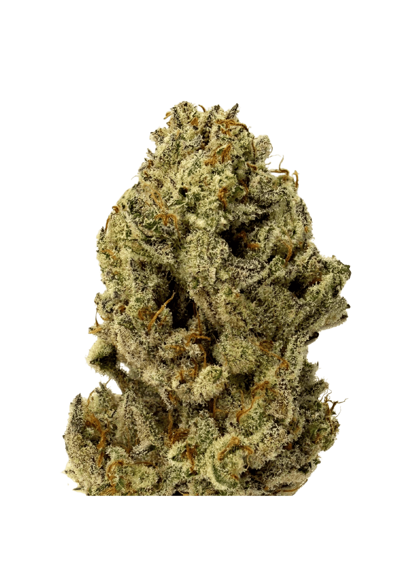 Resonant Cultivation | Pandamonium Haze | 3.5g Prepacked Flower