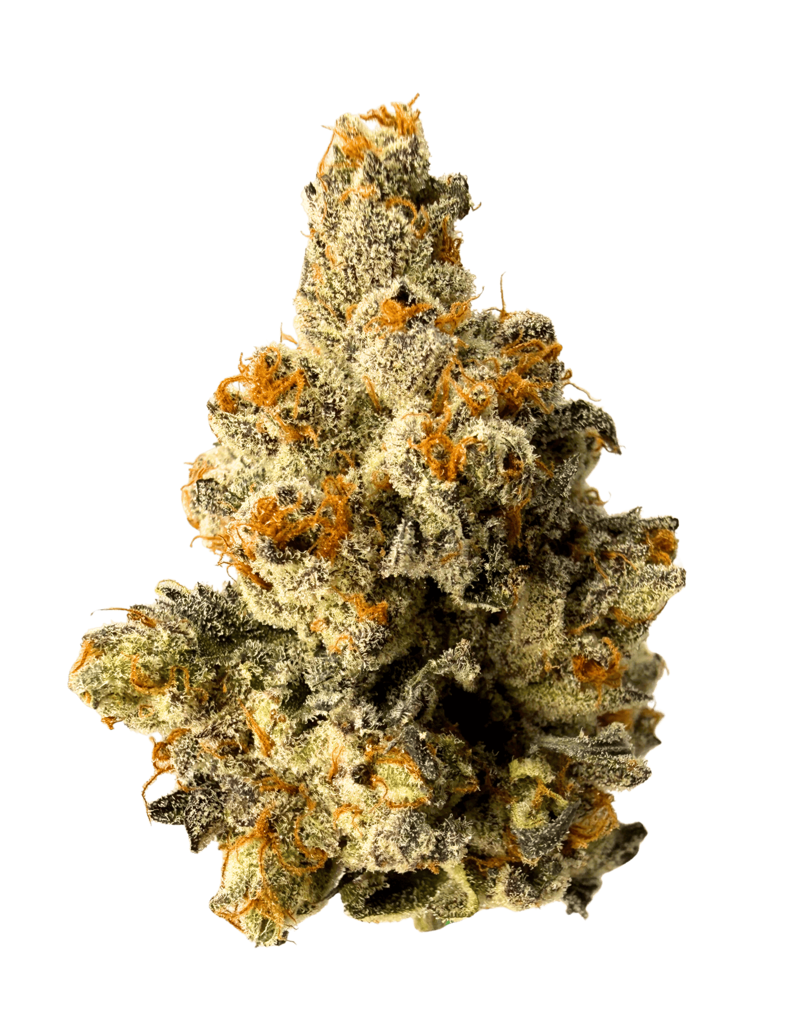 Resonant Cultivation | Beastmont | 28g Prepackaged Flower