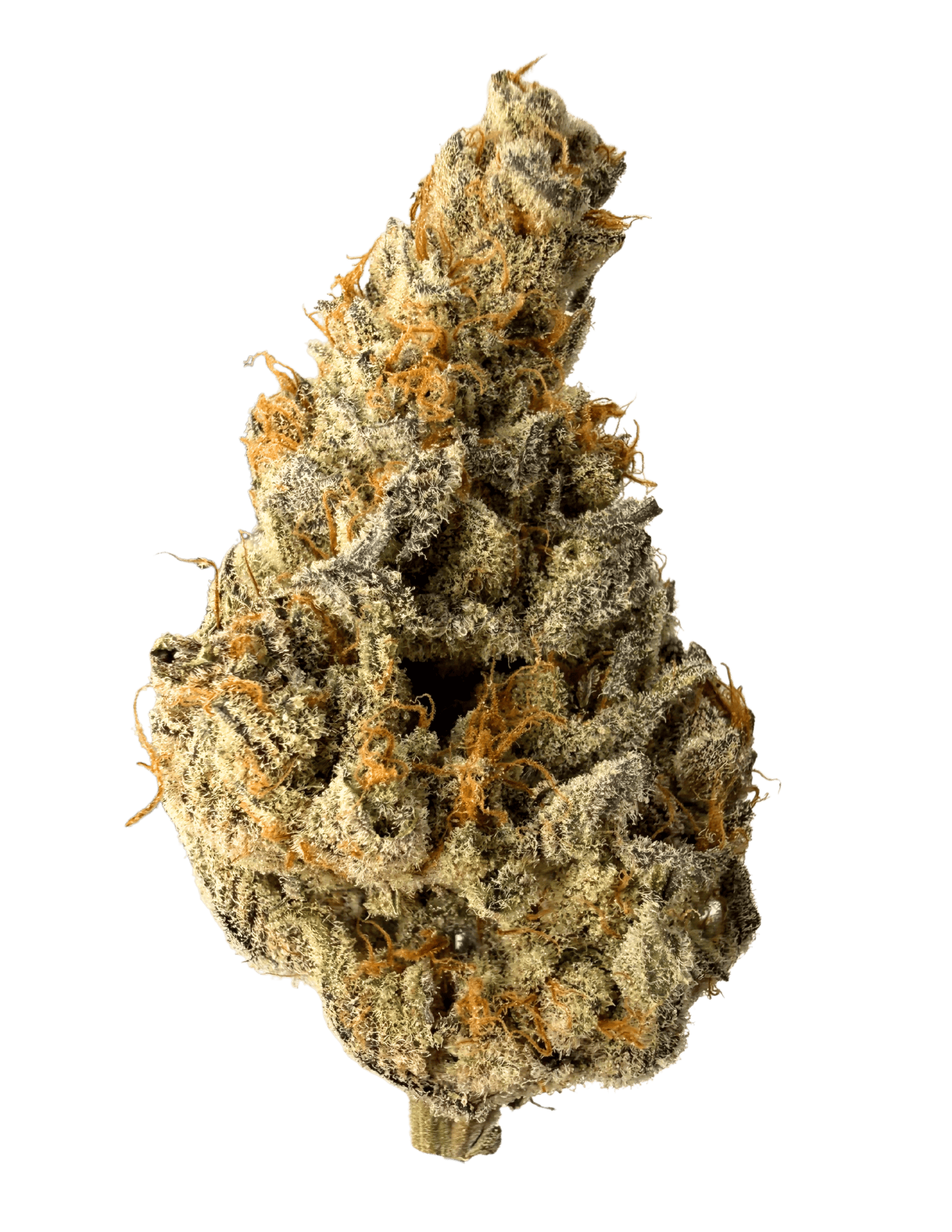 Resonant Cultivation | UV3 | 14g Prepacked Flower