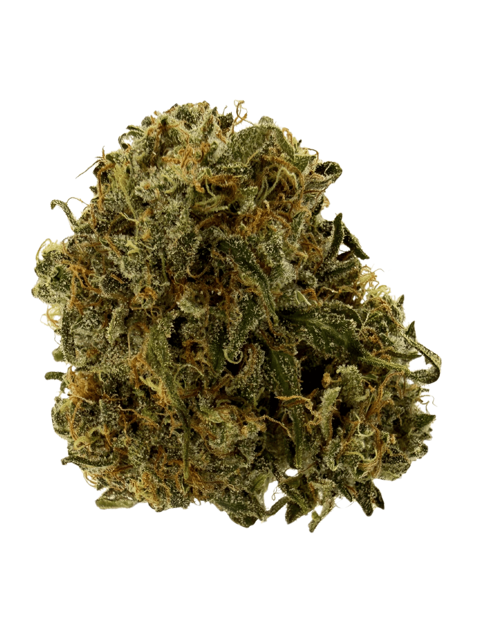 Wind Walker | Big Buds | 7g