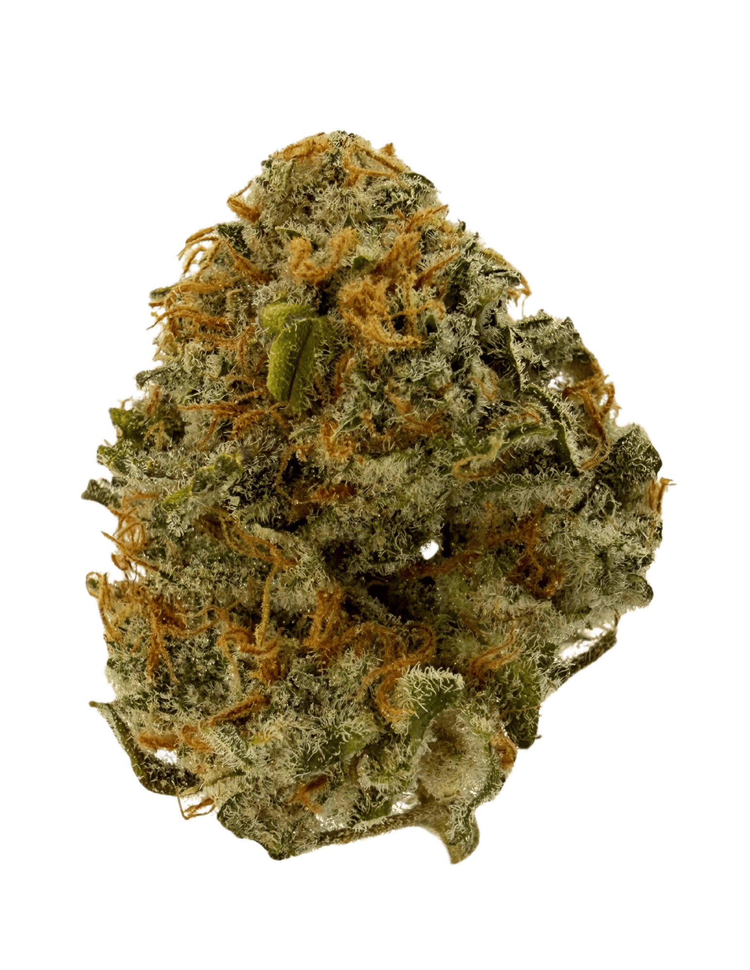 Snugglephuck | Big Buds | 3.5g