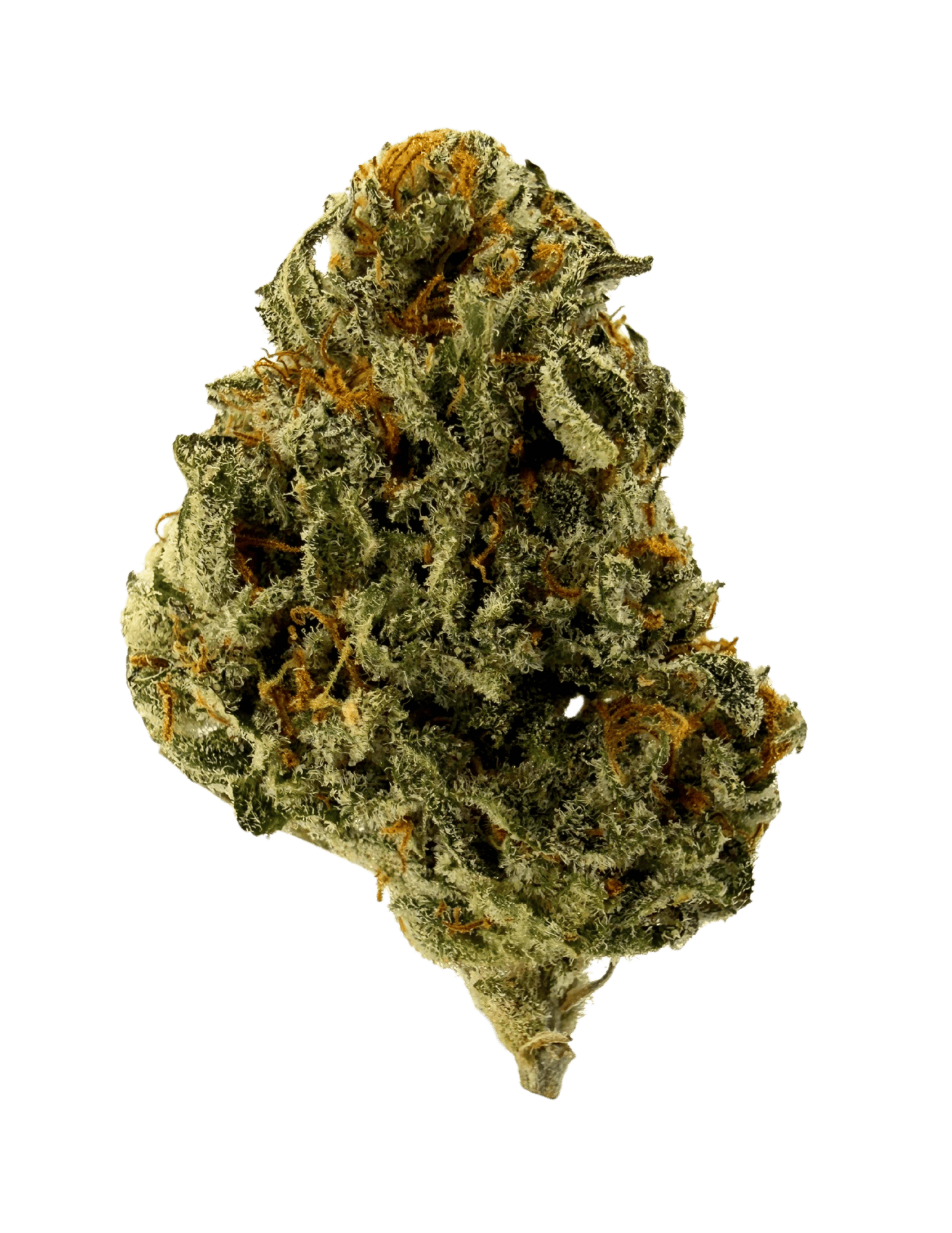Blue Bluff Berry | Big Buds | 3.5g