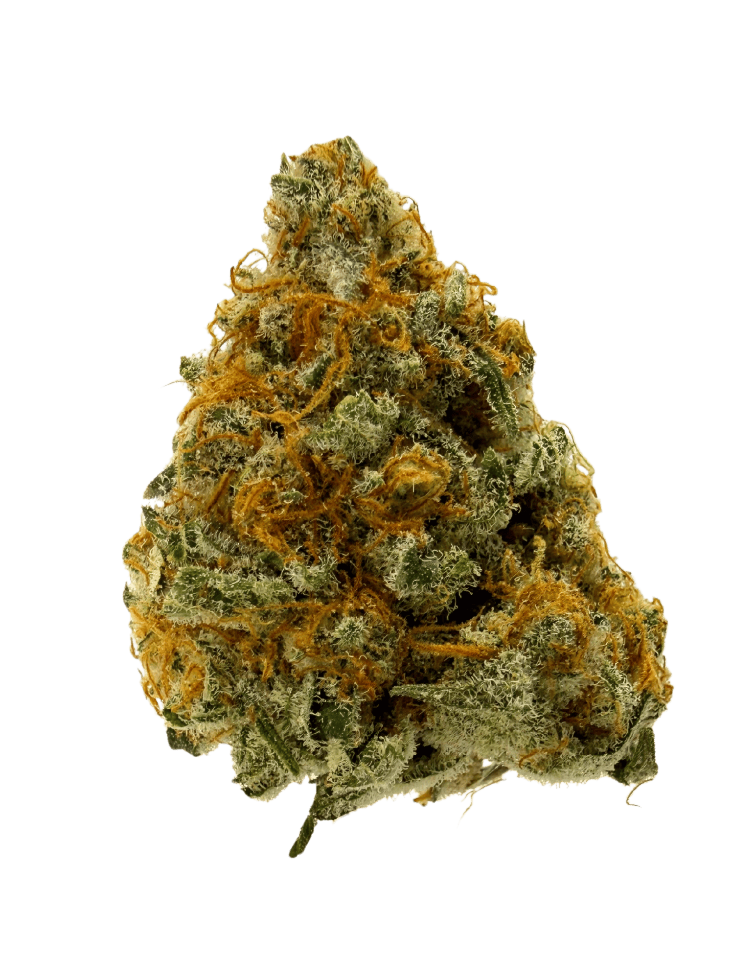 Raspberry Jelly | Big Buds | 3.5g