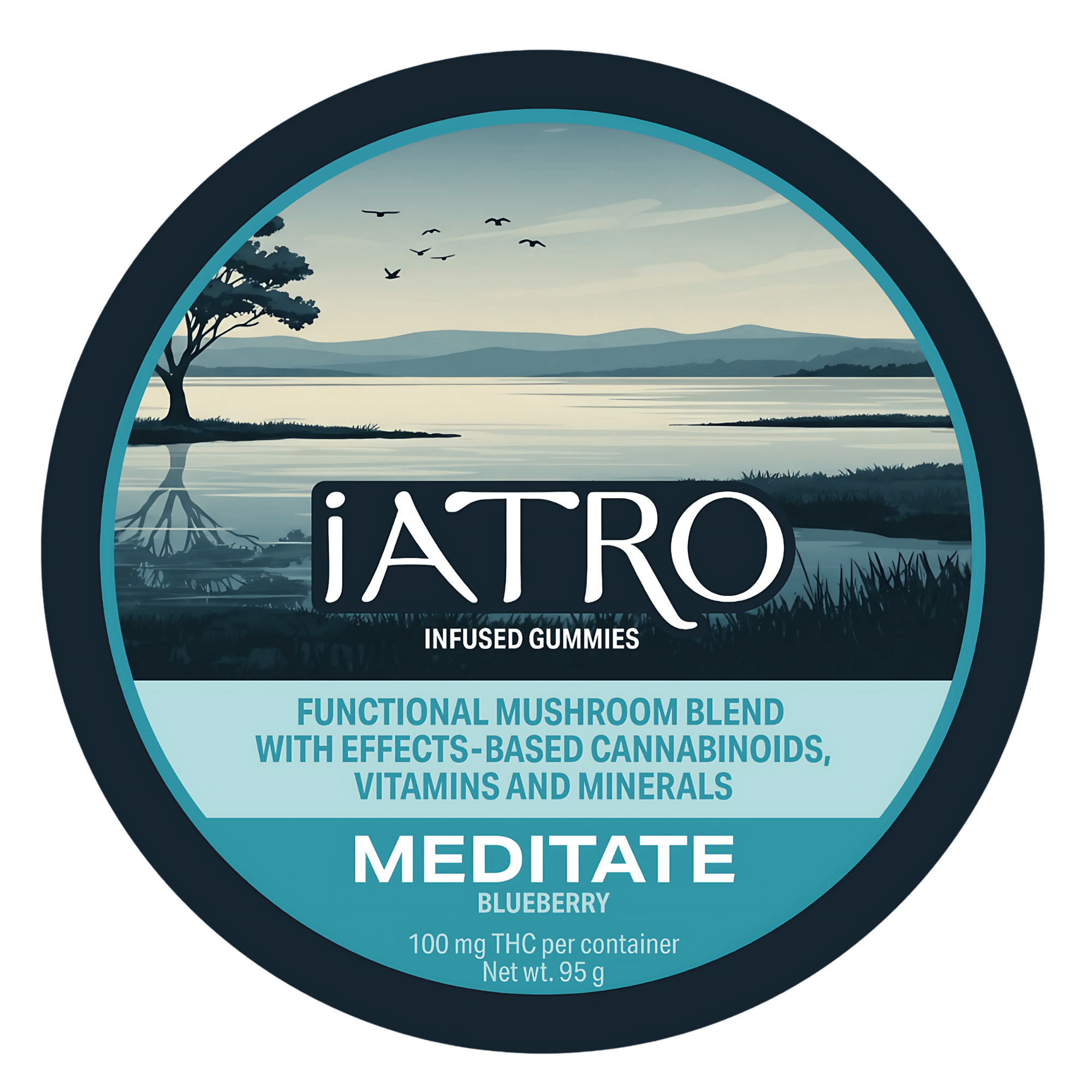 Meditate Mushroom Gummies | Gummies | 100mg/ea