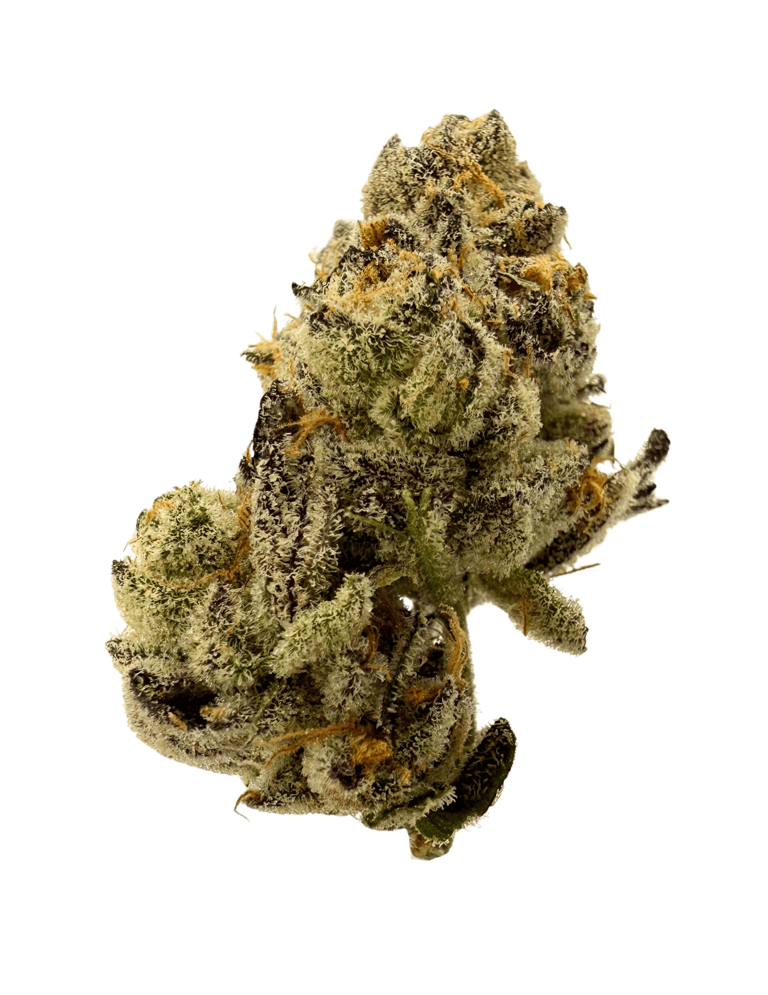 Sirius Research | Hella Gas | 3.5g Prepackaged Flower