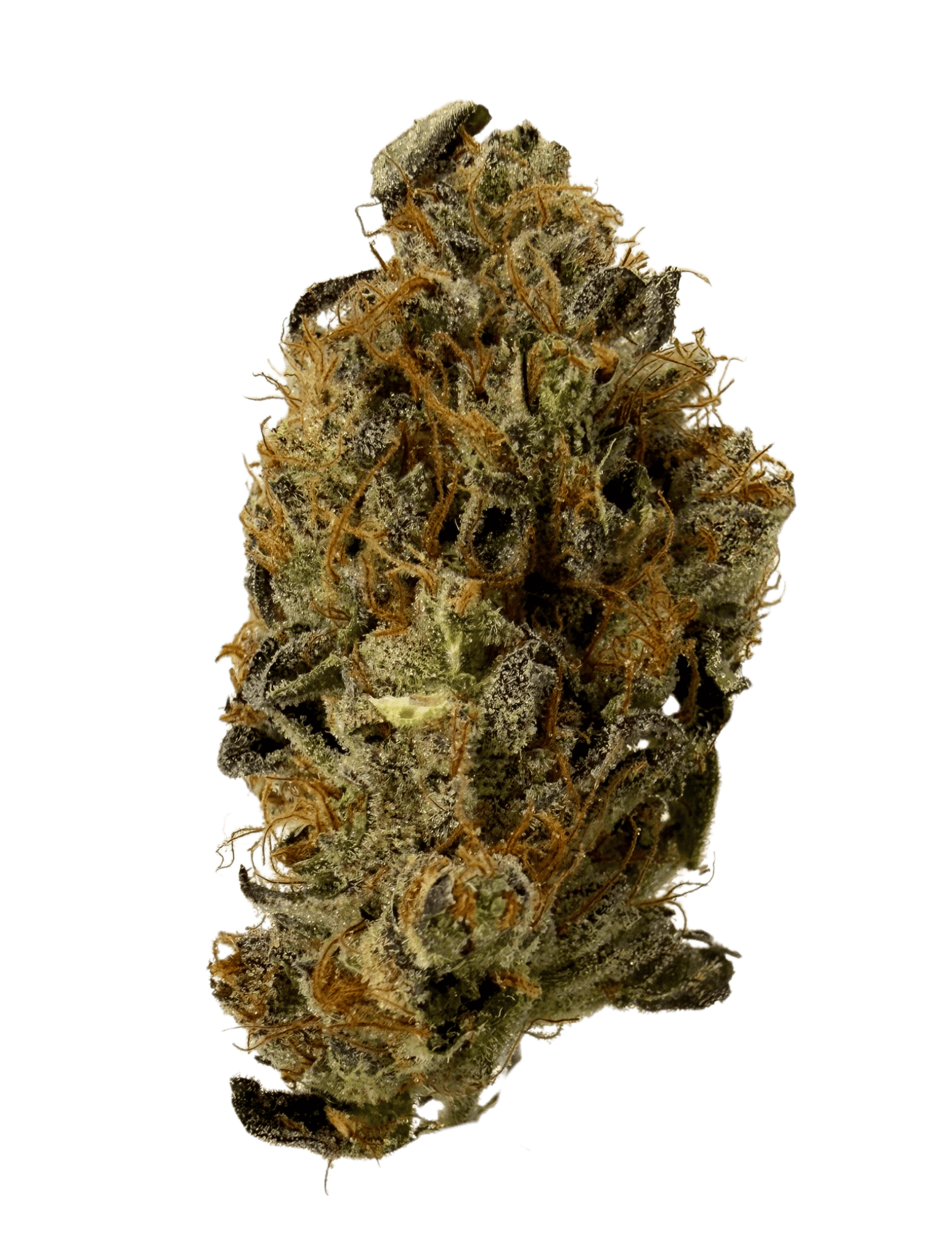 Resonant Cultivation | Han Solo Burger | 28g Prepacked Flower