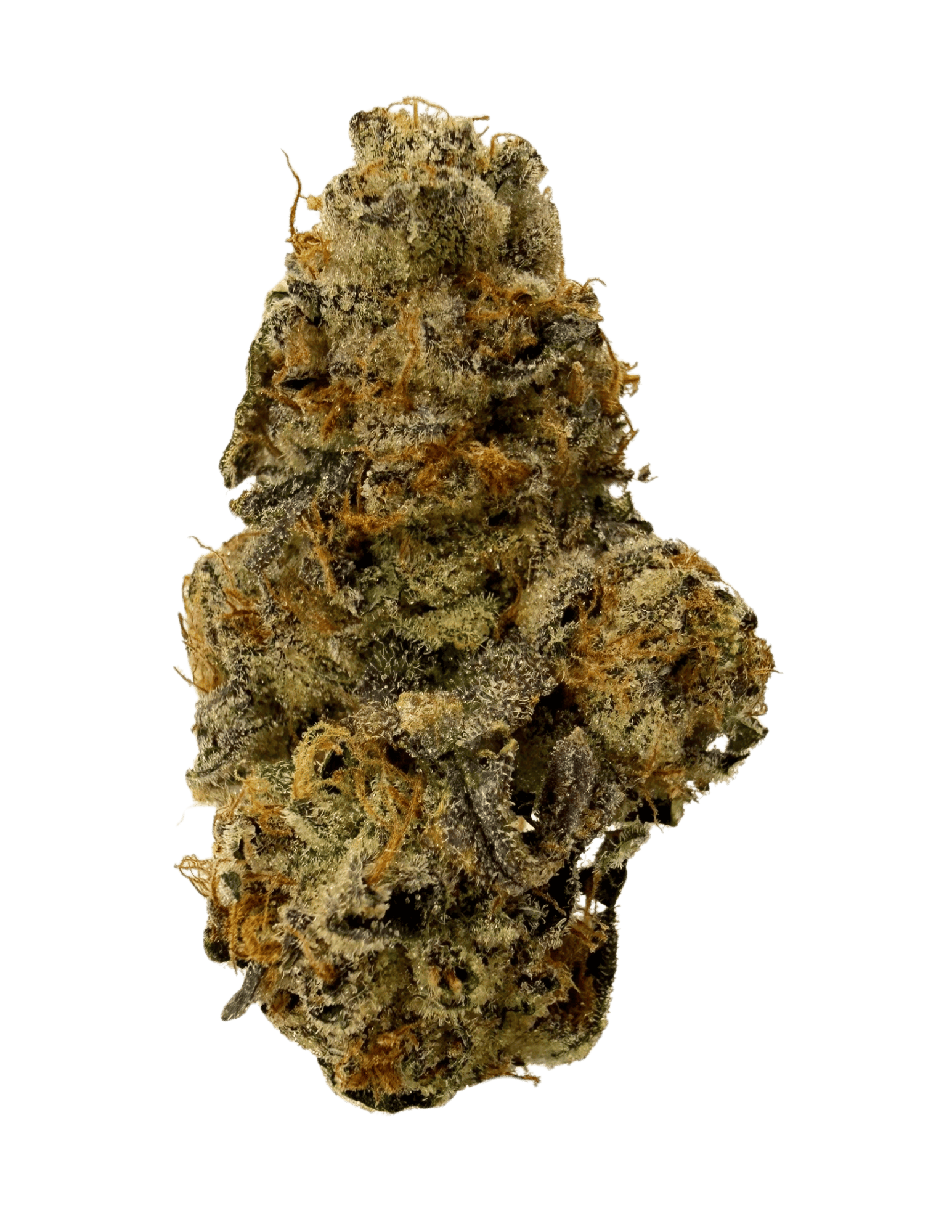 Rhiza Ranch | Guava Tart | 3.5g Prepackaged Flower