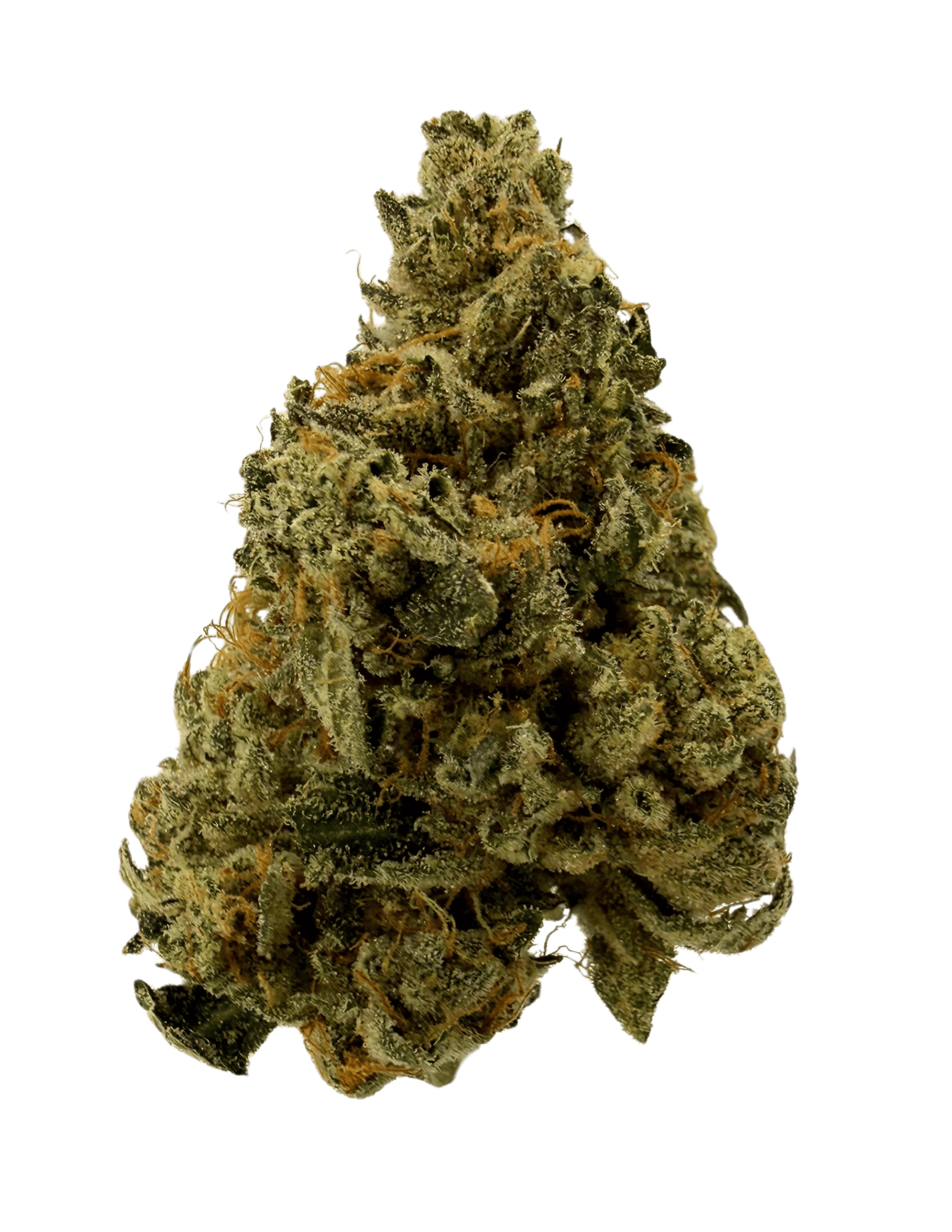 Rhiza Ranch | Marmalade | 3.5g Prepackaged Flower