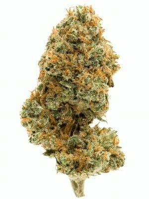 Acapulco Gold