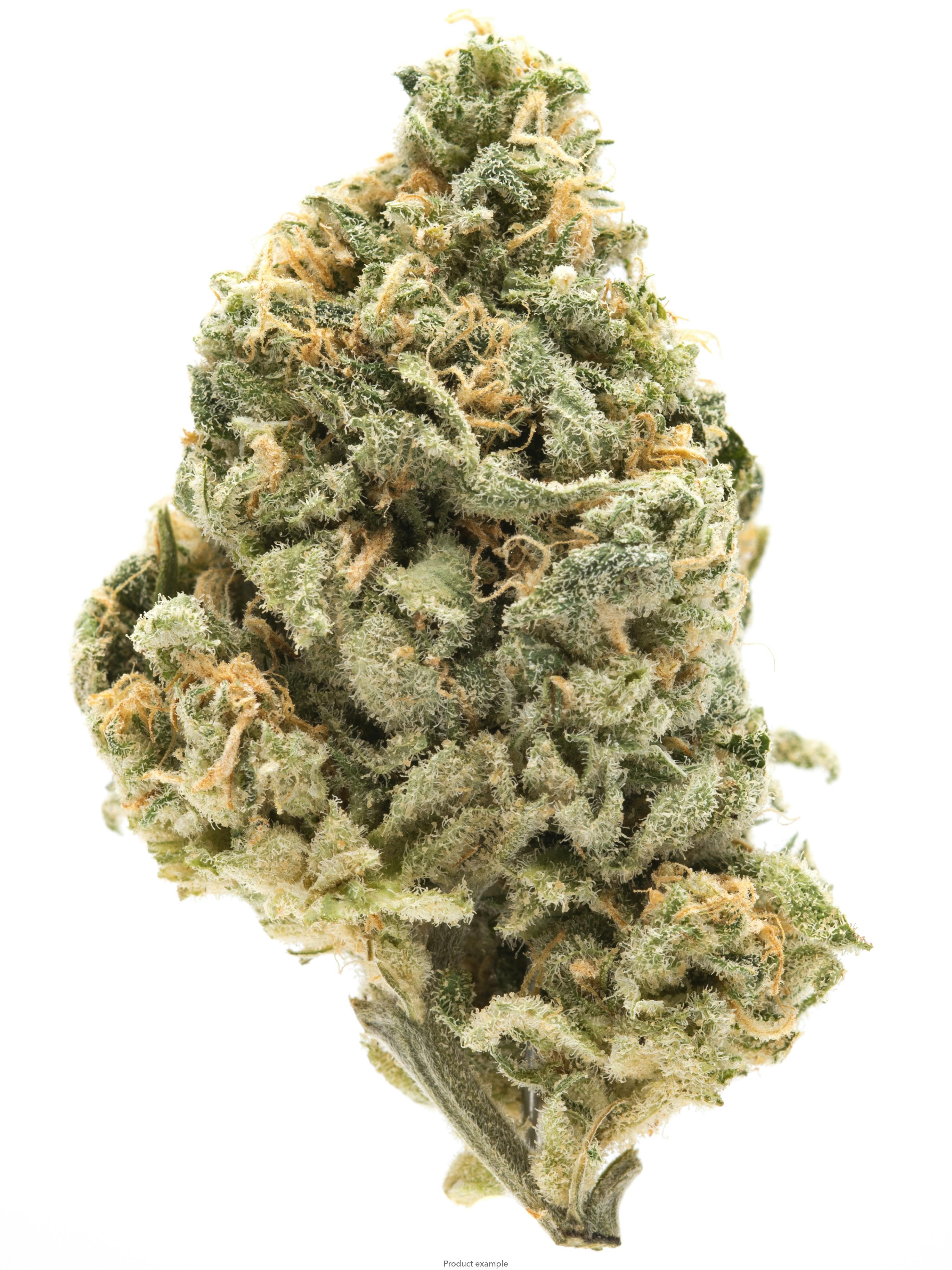 Peanut butter Breath