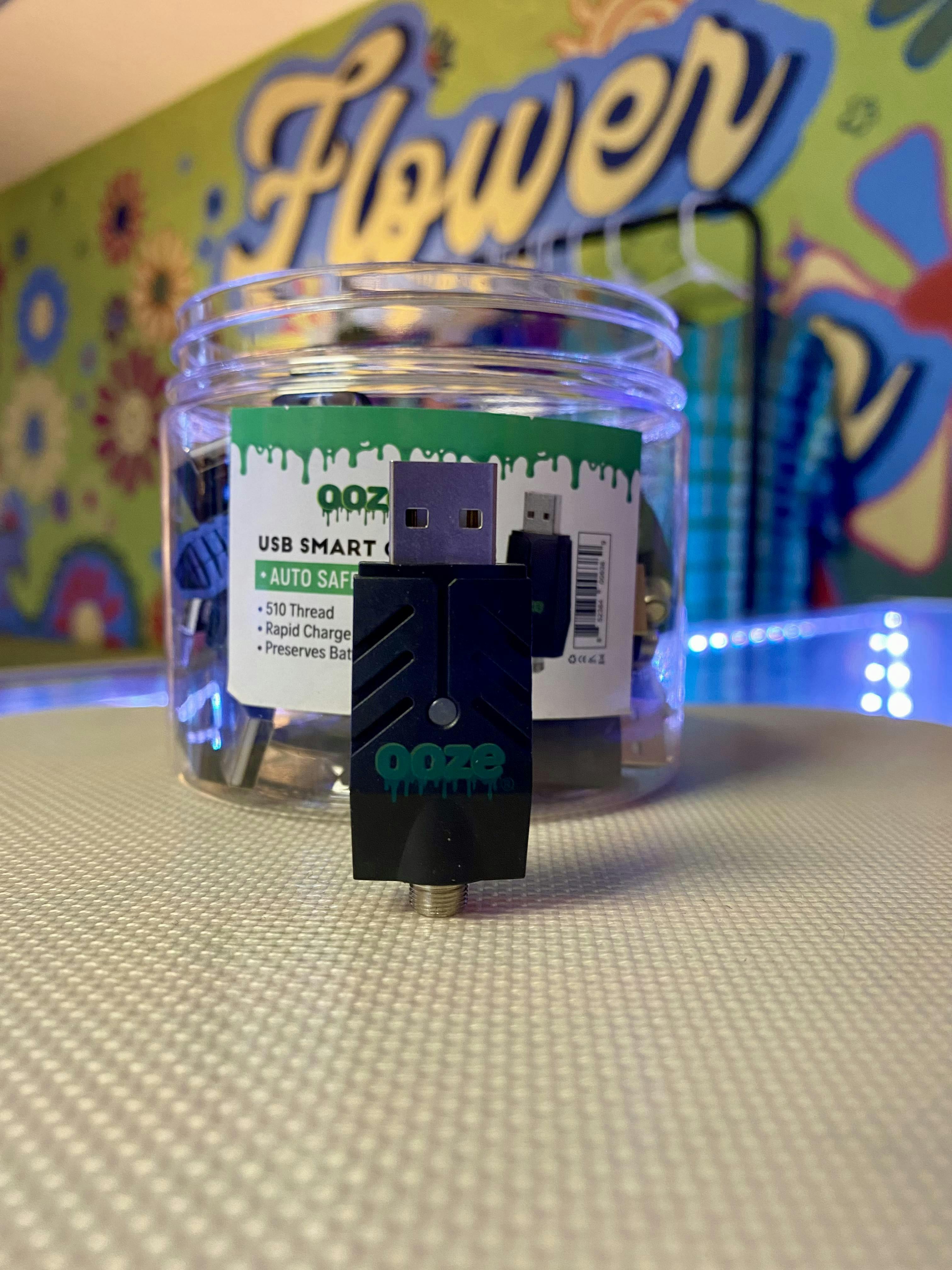 USB Smart Charger | Accessories