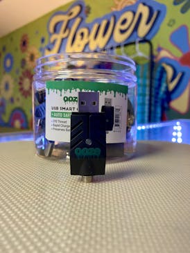 Ooze Smart USB Charger