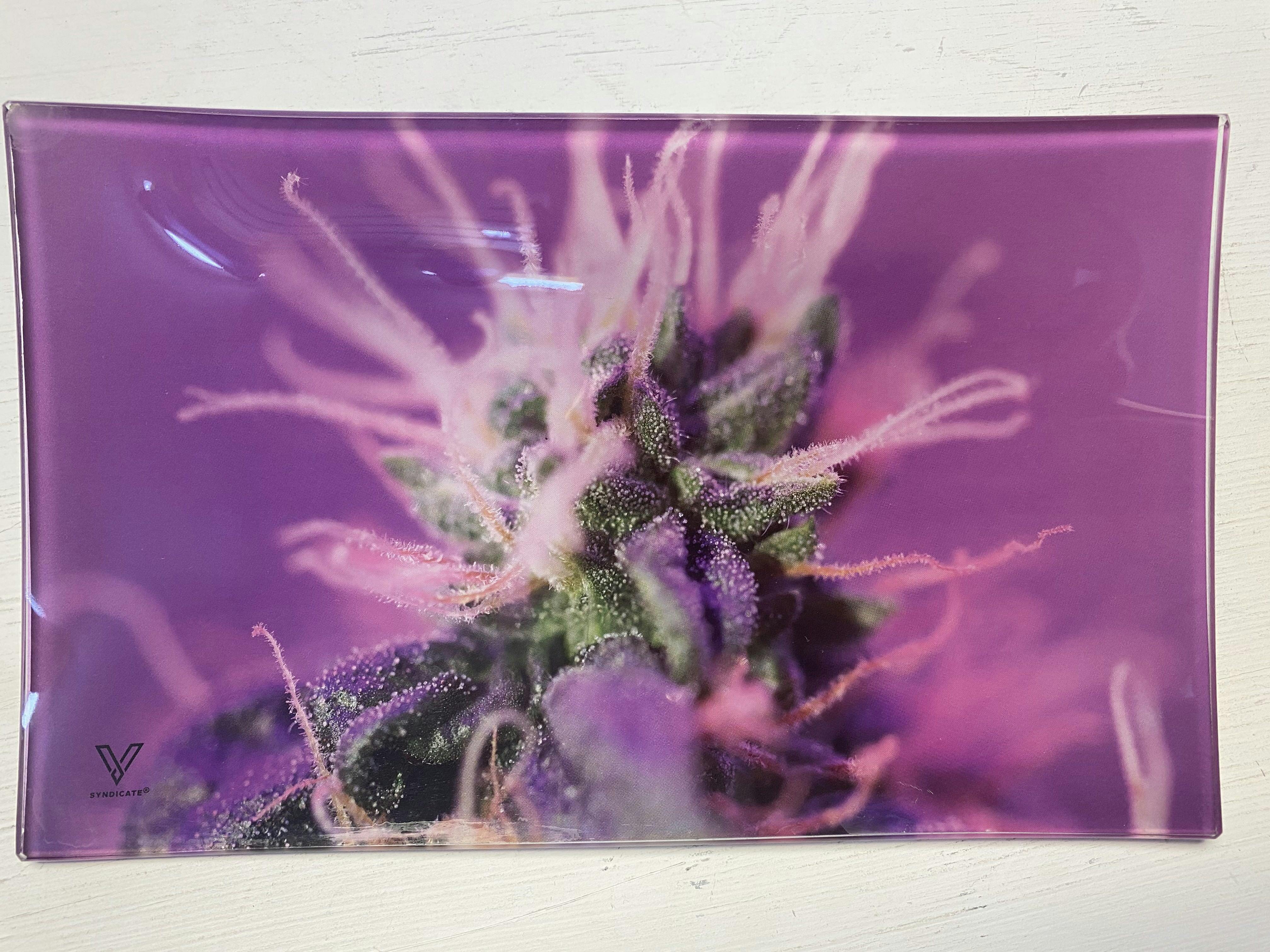 Shatter Resistant Glass Tray - Large