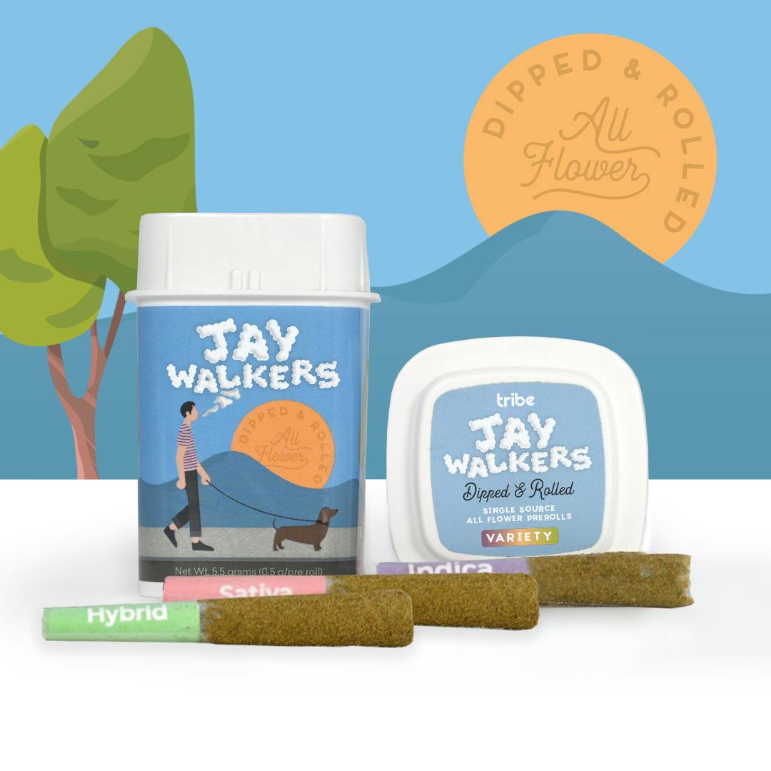 Tribe | Variety | Jaywalkers Dipped Infused Minis | 0.55g each | 11pk by Tribe