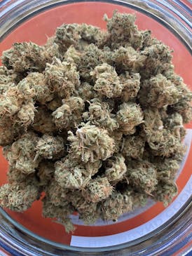 Humble Ground Cultivation Headband Cookies Flower