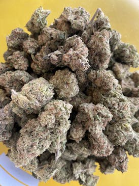 The Hub Purple Ice Water Flower