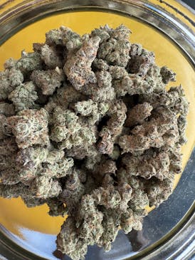 Blossom Inc GMO Cookies Flower