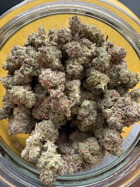 Blossom Inc Banana Daddy Flower