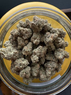 Humble Ground Cultivation Flapjacks Flower