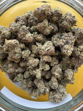 Big City Growers Unicorn Shoes Flower