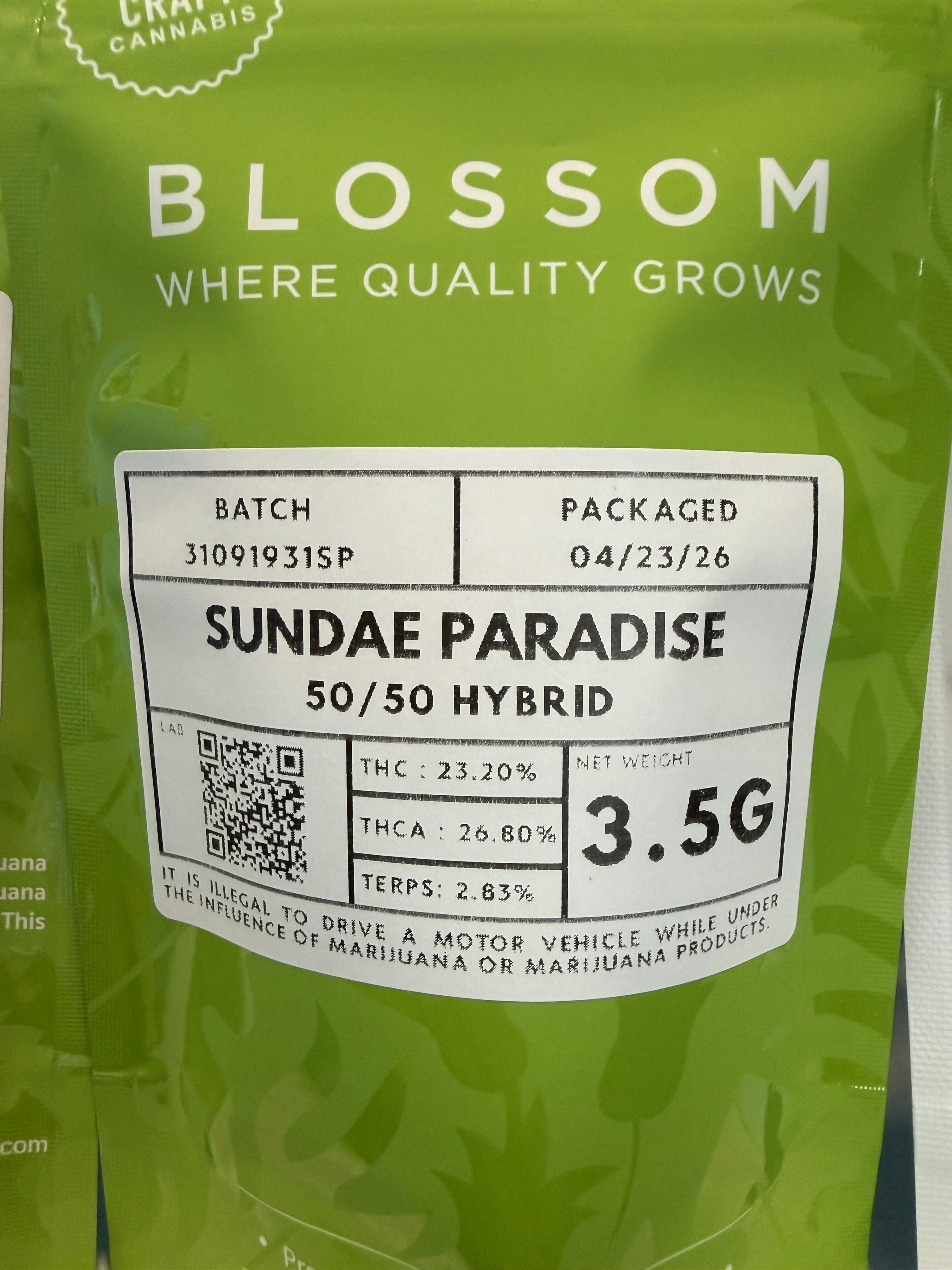 Blossom Inc 3.5g Sundae Paradise Flower