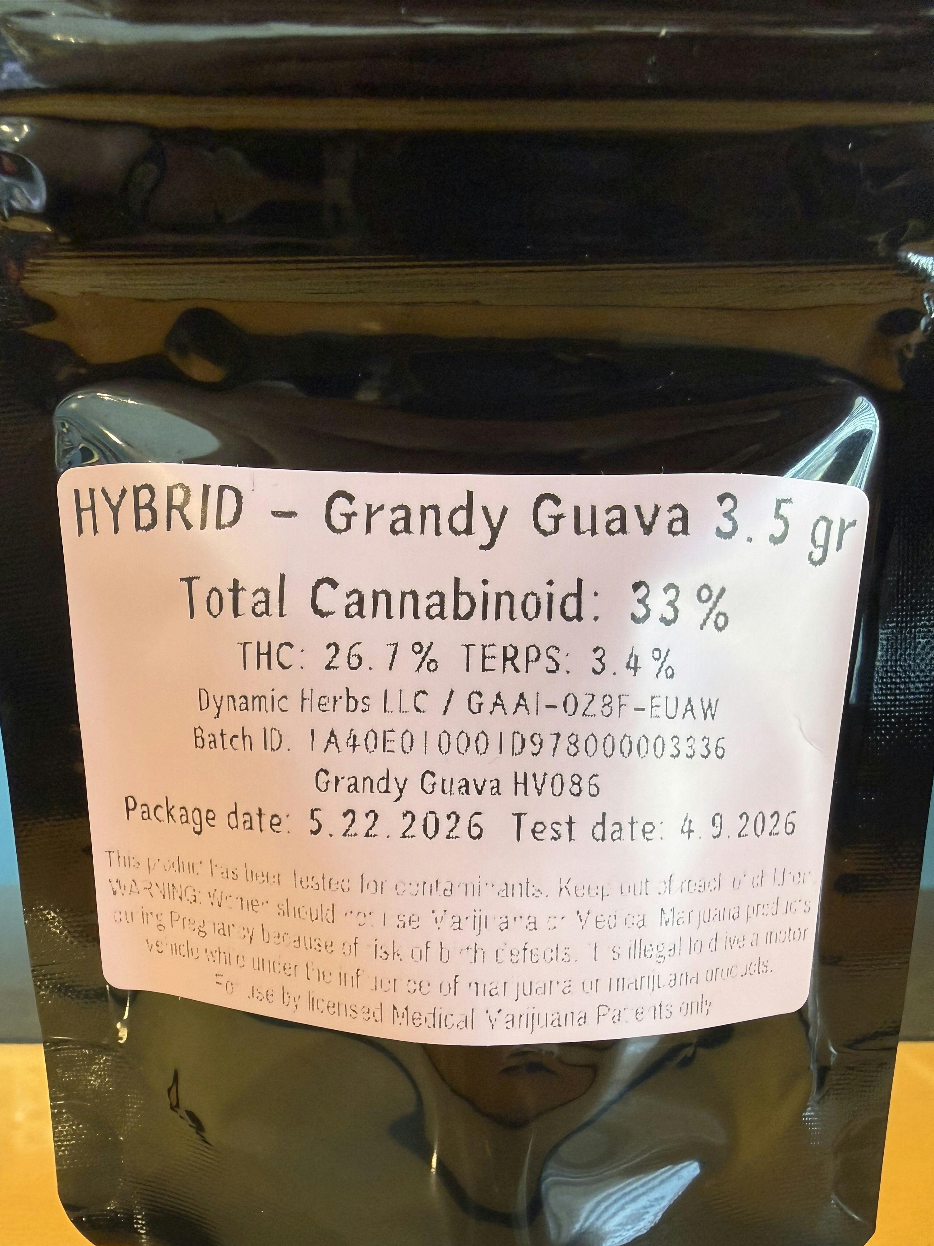 Dynamic Herbs 3.5g Grandy Guava