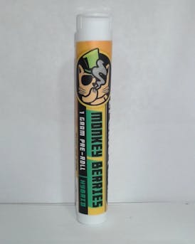 El Gato Preroll- Monkey Berries