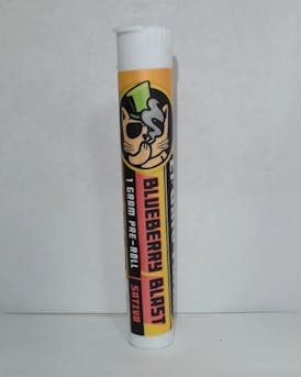 El Gato Preroll- Blueberry Blast