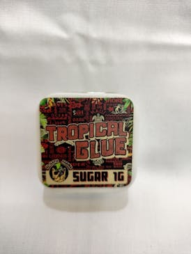 El Gato Sugar- Tropical Glue