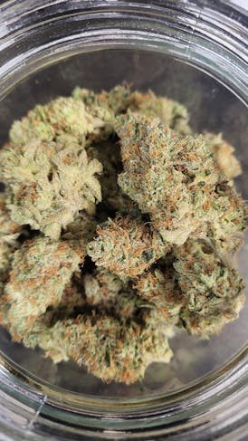 MVP - (Top) - Melted Strawberry