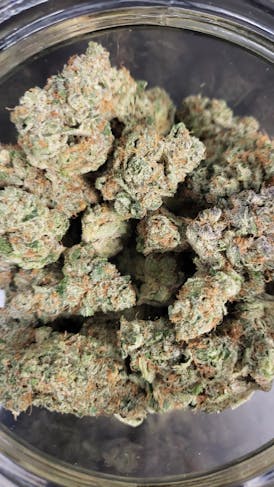MVP - (Top) - Meat Breath