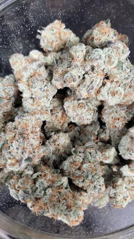Motavate - (Top) - Little Nicky
