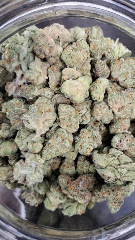 Treehouse Farms - (Smalls) - Cheetah Piss