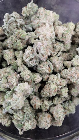 Treehouse Farms - (Smalls) - Cap Junky