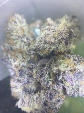 SLUMPLORD 2.16% TERPS