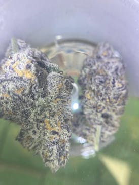 ALIEN VORTEX 2.58% TERPS