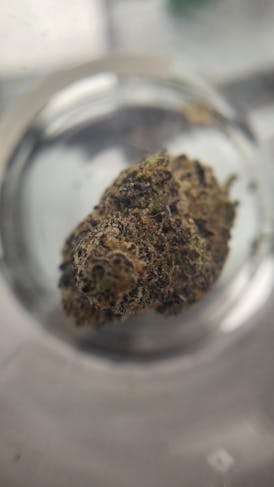 Grow United - (Select) - Permanent Sherbert