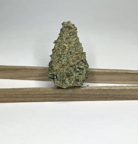 Alma Cannabis - Moonbow Flower (Taxes Included)
